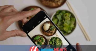 Cara Berbisnis Makanan Online